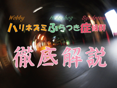 ぐらつきハリネズミ症候群 (WHS)